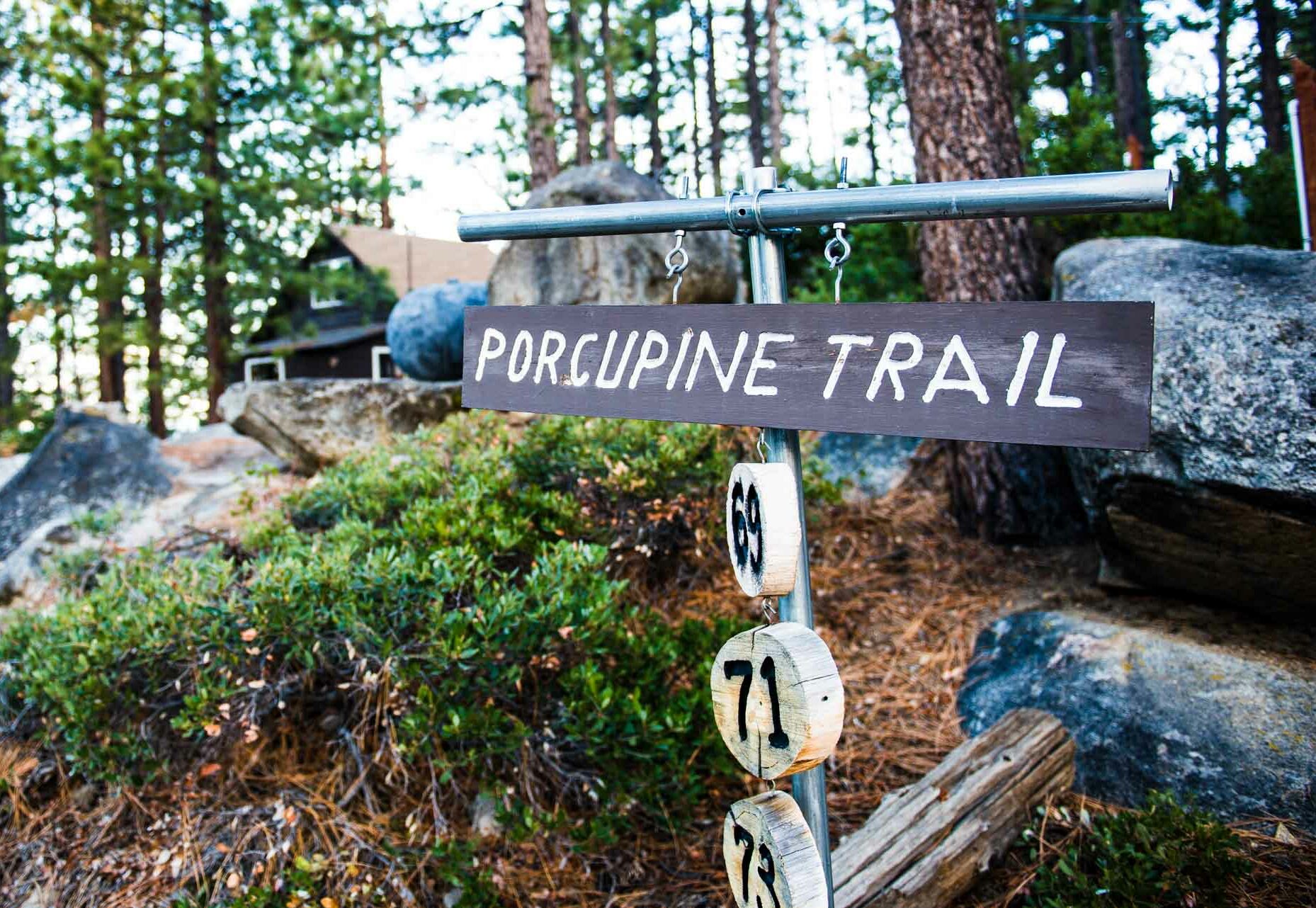 porcupine-trail